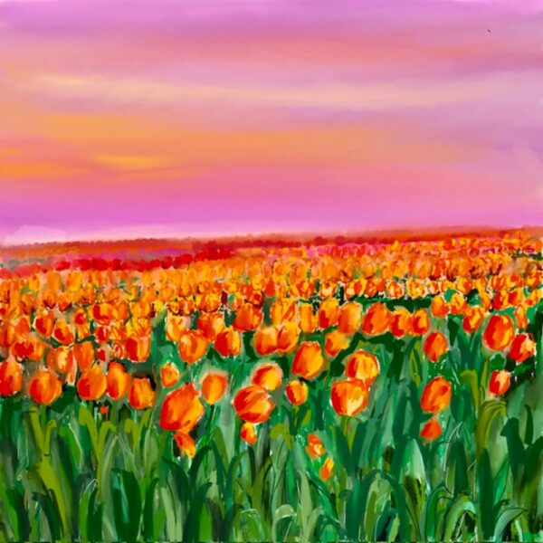 Petals Beneath a Pink Sky   (Limited Edition  26cm x 30 cm)