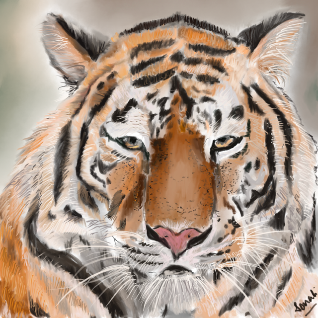Tiger   Digital Print   (Limited Edition  26cm x 30 cm)